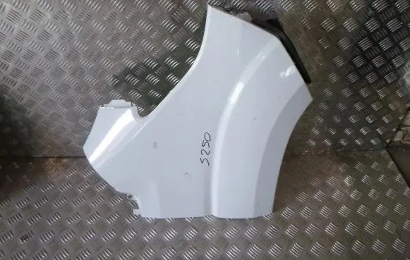 Fiat Ducato Fender