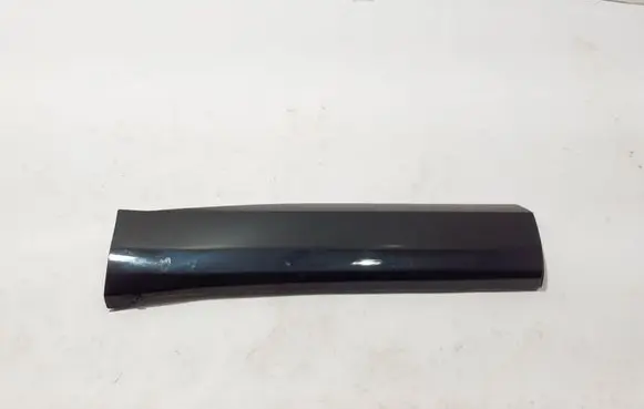 Renault Espace VI Rear door trim (molding) 828205036R