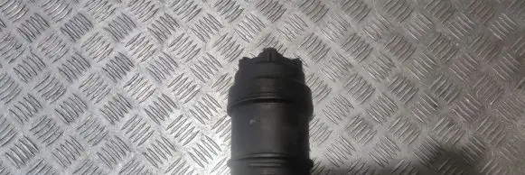 Volvo V60 Fuel filter housing 31302682