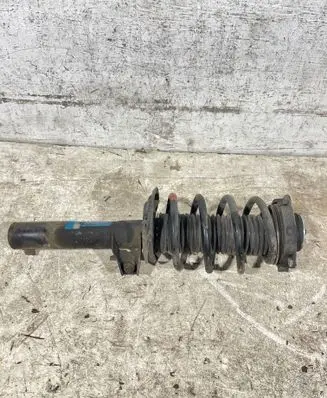 Volkswagen Tiguan Front shock absorber with coil spring 312643 824904004176