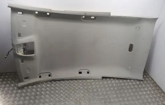 Mercedes-Benz B W245 Headlining A1696901550