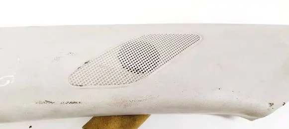 Skoda Praktik (5J8) Front door speaker 