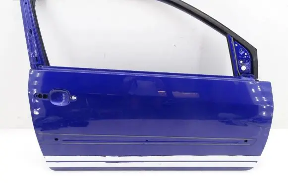 Ford Fiesta Front door