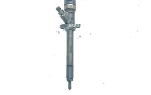 Peugeot 406 Fuel injector 9637277980 0445110036