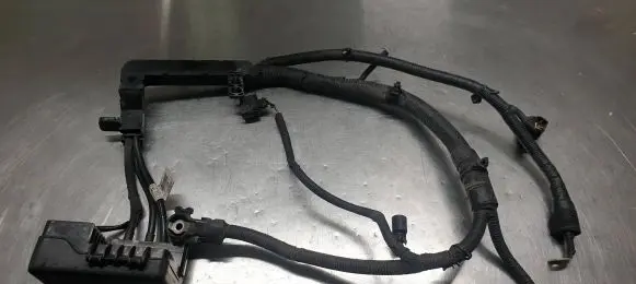 Positive wiring loom