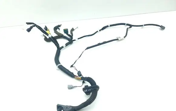 Nissan Leaf II (ZE1) Front door wiring loom 241255SH0B