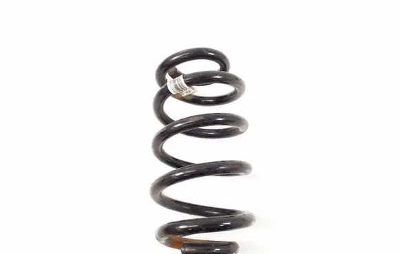 Rear coil spring