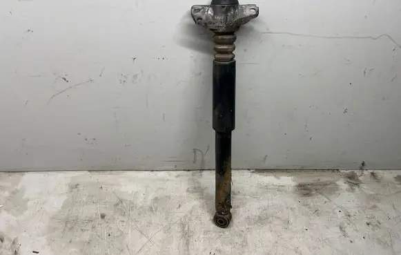 Volkswagen PASSAT B6 Rear shock absorber/damper 3C0513049BS