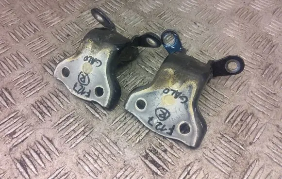 Chevrolet Captiva Rear door hinge set 