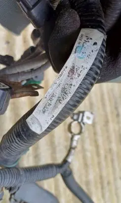 Engine installation wiring loom