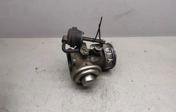 Volkswagen PASSAT B5.5 EGR valve 
