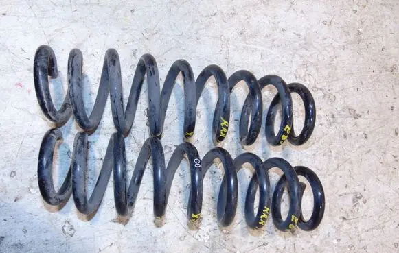 Rear coil spring