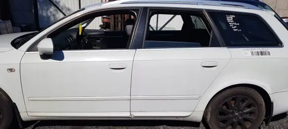 Seat Exeo (3R) Rear door