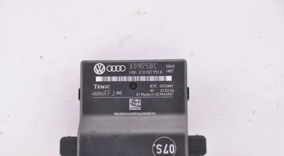 Volkswagen PASSAT B6 Gateway control module 3C0907530C