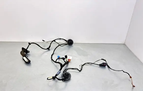 Audi A4 S4 B9 Front door wiring loom 8W0971029BD