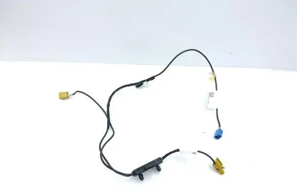 Ford Expedition Other wiring loom JL1T19C181AA
