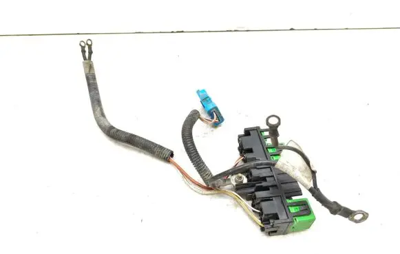 Citroen Xsara Picasso Other wiring loom