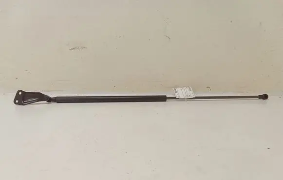 Nissan Juke I F15 Tailgate strut 