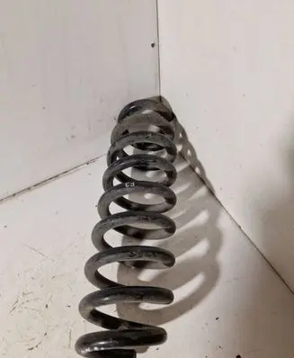 Rear coil spring
