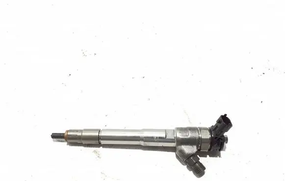 Renault Scenic IV - Grand scenic IV Fuel injector 0445110895