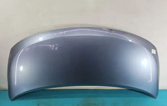 Engine bonnet/hood