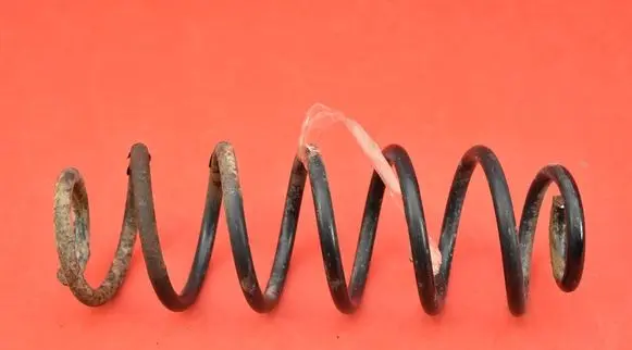 Seat Leon (1M) Rear coil spring