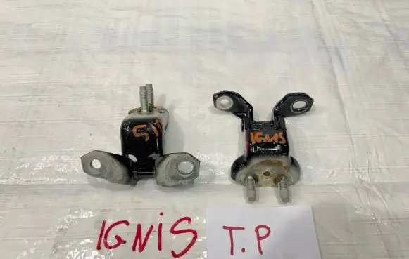 Suzuki Ignis Rear door hinge set 