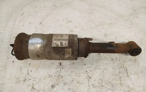 Land Rover Range Rover Sport L320 Air suspension front shock absorber 22257273