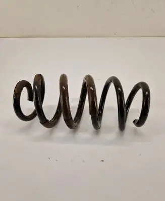 Toyota RAV 4 (XA40) Rear coil spring 