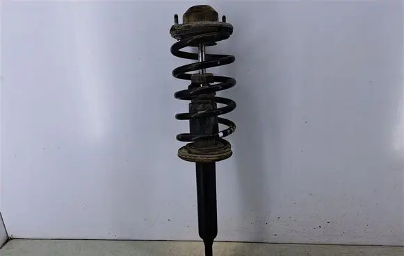 Volkswagen PASSAT B5.5 Front shock absorber with coil spring 