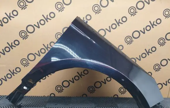 Ford Edge II Fender 