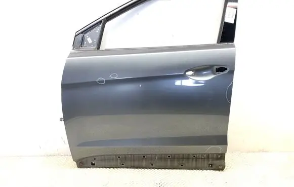 Hyundai Santa Fe Front door T6S