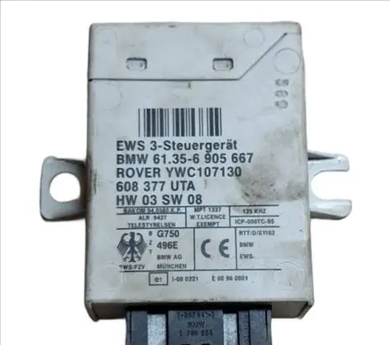 BMW 5 E39 Immobilizer control unit/module 61356905667