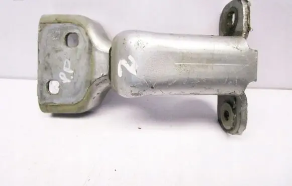Renault Trafic II (X83) Front door hinge set 