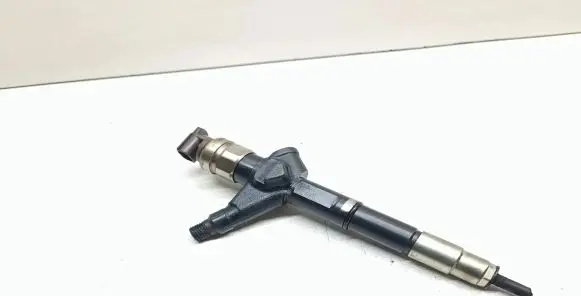 Nissan Pathfinder R51 Fuel injector 16600EC00A 03000000 0000F500