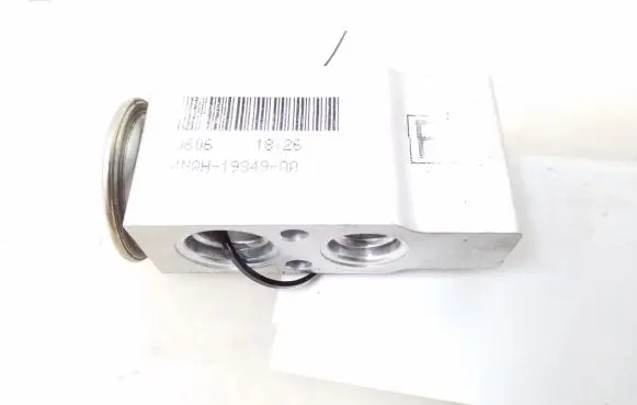 Nissan Navara Air conditioning (A/C) expansion valve 4NAH19849AA