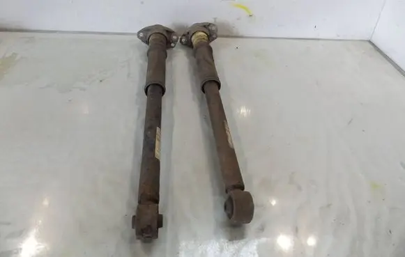 Volkswagen Cross Polo Rear shock absorber/damper