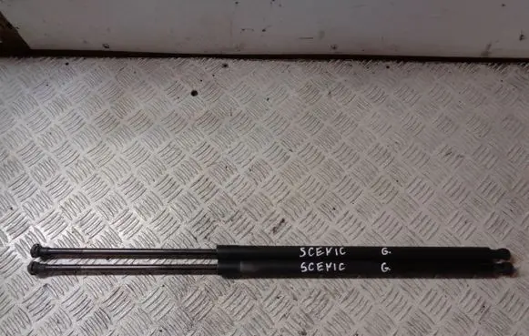Tailgate/trunk strut/damper