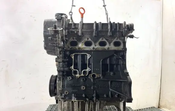 Volkswagen Golf V Engine CAX