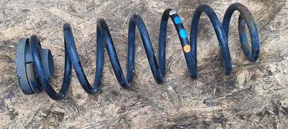 Rear coil spring