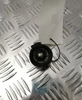 Lexus NX Front door high frequency speaker 8616078010