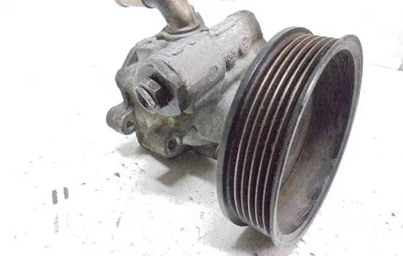 Volkswagen Polo III 6N 6N2 6NF Power steering pump 6N0422154F