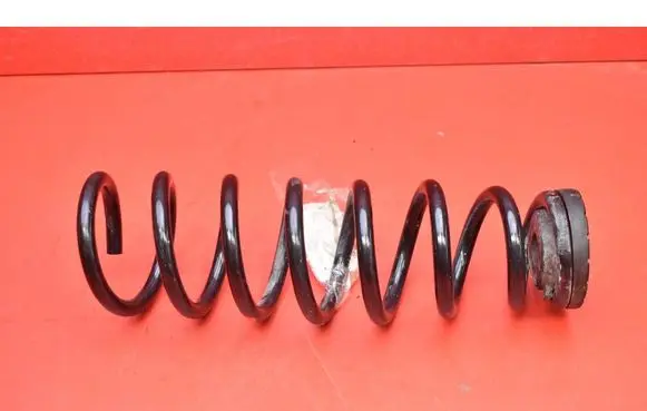 Rear coil spring