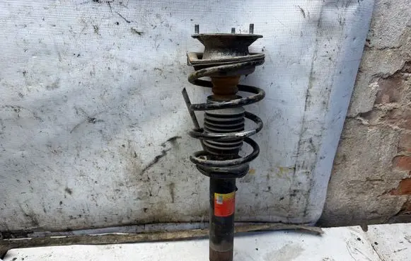 BMW X1 E84 Front shock absorber with coil spring S0254438