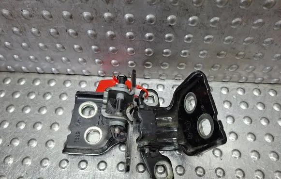 Renault Trafic III (X82) Front door hinge set S26309743