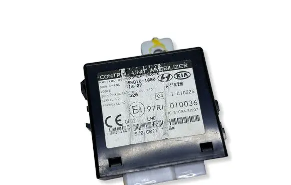 Hyundai Tucson JM Other control units/modules 97RI010036