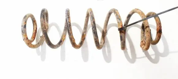 Honda Civic Rear coil spring