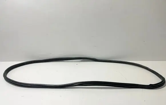 BMW 3 G20 G21 Rubber seal rear door 7407375 7497913
