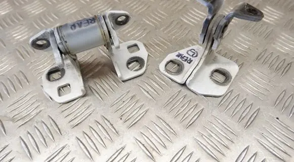 Tesla Model S Rear door hinge set 