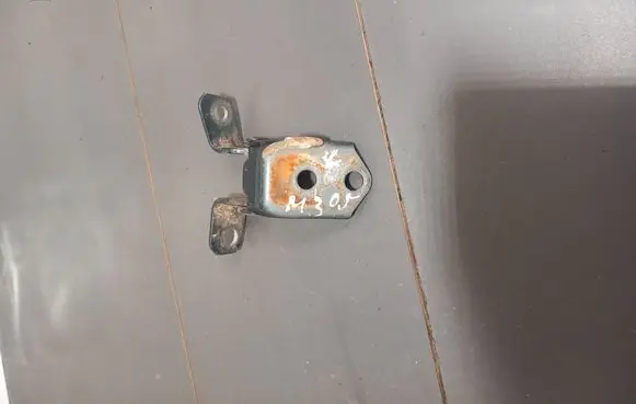 Rear door lower hinge